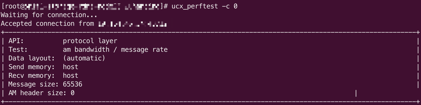 ucx-perf-server